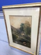 G. Alexander, watercolour, signed, 'Rural landscape with cattle beside a ford', 49 x 34cm