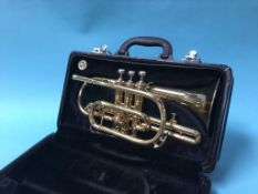 A trumpet and fitted case