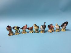 Nine Beswick birds