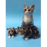 Three Winstanley pottery Cats