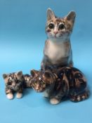 Three Winstanley pottery Cats