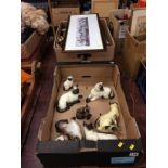 Collection of Siamese cats, in two boxes