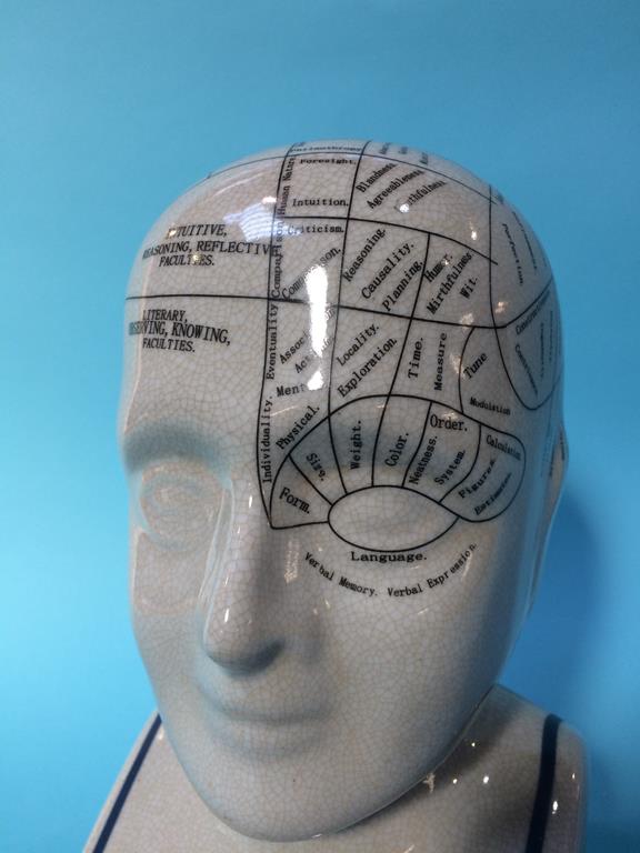 A Phrenologist's Head - Image 2 of 3