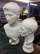 Two Roman style plaster busts