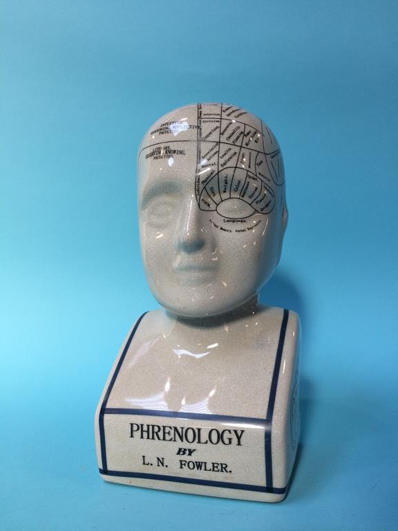 A Phrenologist's Head