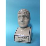 A Phrenologist's Head