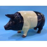 A cast iron Piggy Bank