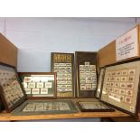 A collection of framed cigarette cards
