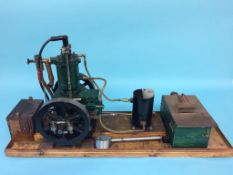 A live single cylinder petrol powered engine, with table saw, on a wooden stand. 28cm width x 77cm