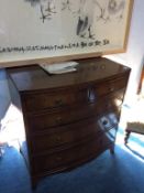 A bow front chest of drawers