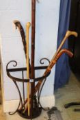 Various walking canes and sticks, with a stand