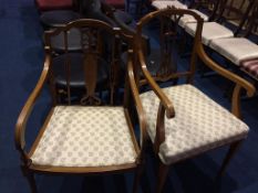 Two Edwardian satinwood carver chairs