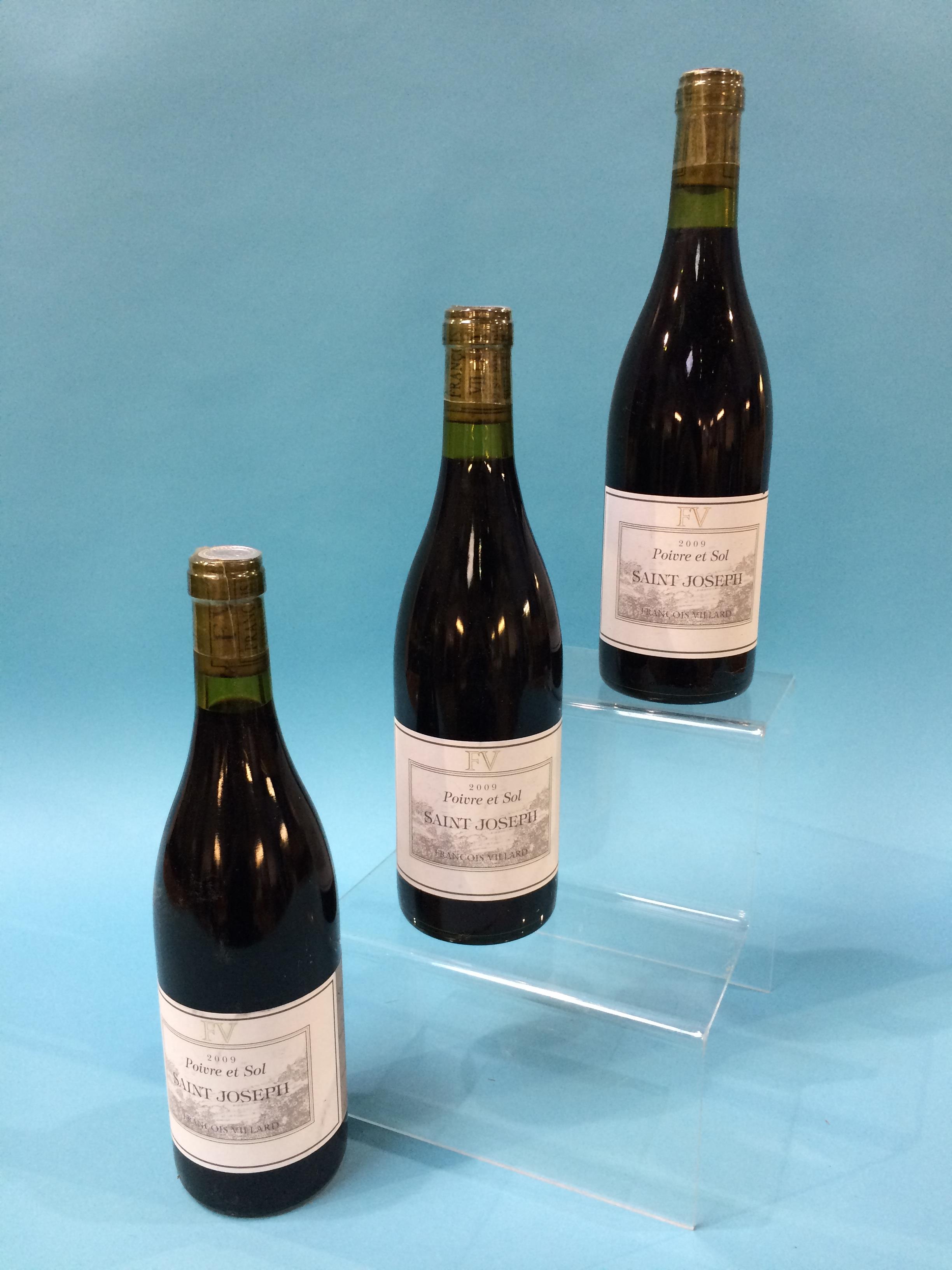 Frances Villard, Poivre Et Sol, 2009, Saint-Joseph (10 bottles)