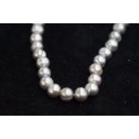 String of grey pearls (Knotted) with 14 Carat Whit