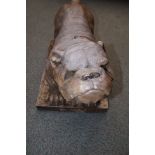Bulldog figure made from sanctuary stone total wei