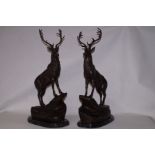 Pair of large bronze stags on marble bases, height