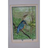 Chris Shields watercolour of a kingfisher 62x53cm