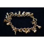 9ct Gold Charm Bracelet - Weight 17 grams