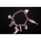 Silver Charm Bracelet with 6 Charms