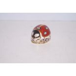 Royal Crown Derby Paperweight Ladybird with Gold S