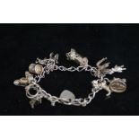 Silver Charm Bracelet (11 Charms)