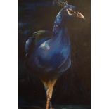 Oil on Canvas Peahen Signed Vernon 2008