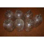 7 Demijohn Bottles