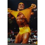 Photograph Signed by Hulk Hogan COA from ForensicD