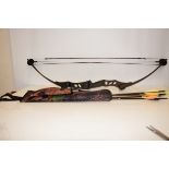 Bow and Arrow in Soft Case to include Arrows