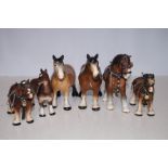 6 Small Shire Horses