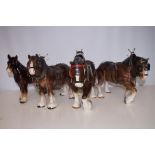 Four Large Shire Horses