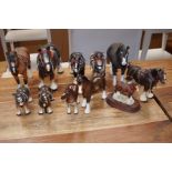 Collection of Shire Horses