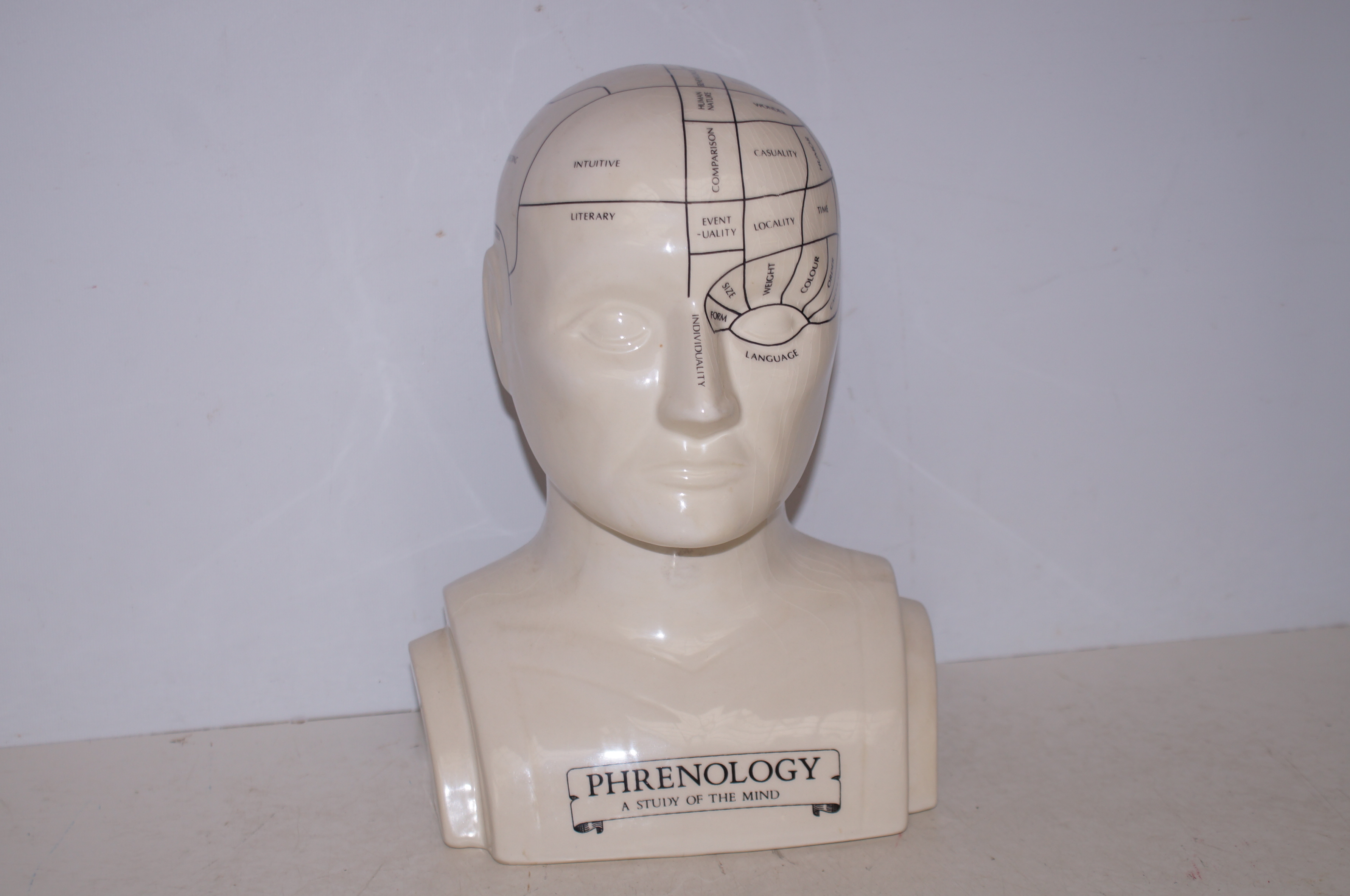 Ceramic Phrenology Head - 30cm h