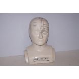 Ceramic Phrenology Head - 30cm h