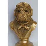 Gold coloured bulldog bust