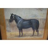 Edwardian Watercolour of a Horse 'Kitty' 1907 - 23