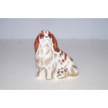 Royal Crown Derby Cavalier King Charles Spaniel wi