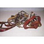 Collection of Horse Tack