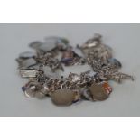 Silver Charm Bracelet - 46 Charms