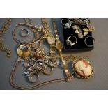 Collection of Costume Jewellery to include a Cameo