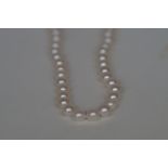 9ct Gold Clasp Pearl Necklace