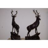 Pair of large bronze stags on marble bases. Total