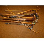 Collection of walking sticks