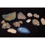 Collection of fossilised rocks