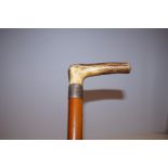 Horn handle silver rim walking stick