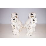 6x Beswick dogs