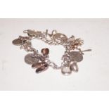 Silver charm bracelet with 18 charms