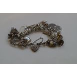 Silver charm bracelet - 17 charms