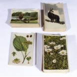 Vintage German collectors cards Animal/Plant subjects