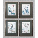 Four framed prints depicting birds and flora, Marjorie Blamey